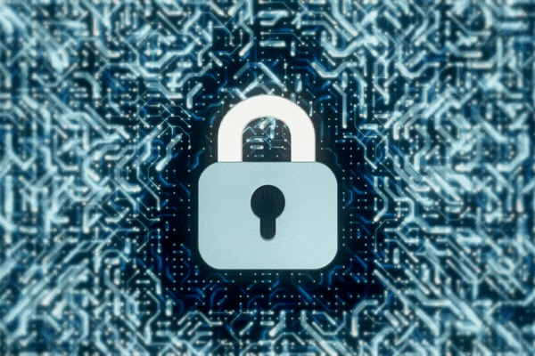 Seguridad y dispositivos